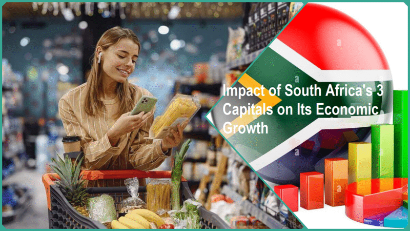 Impact of South Africa’s 3 Capitals on Its Economic Growth