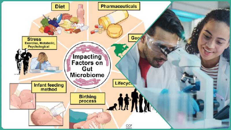 What Is the Gut Microbiome and Its Impact on Your Career?