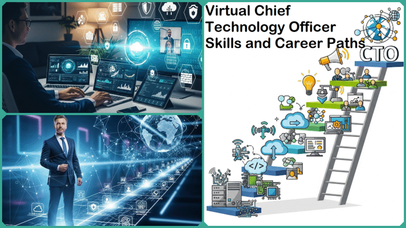 Virtual Chief Technology Officer Skills and Career Paths